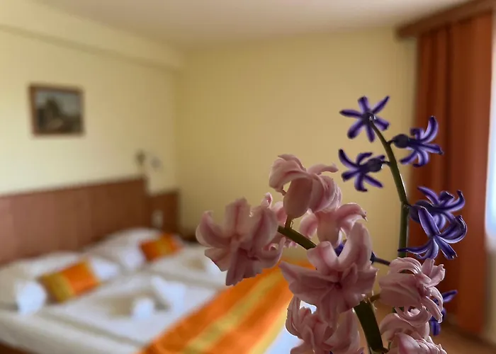 Aqua Therm Hotel