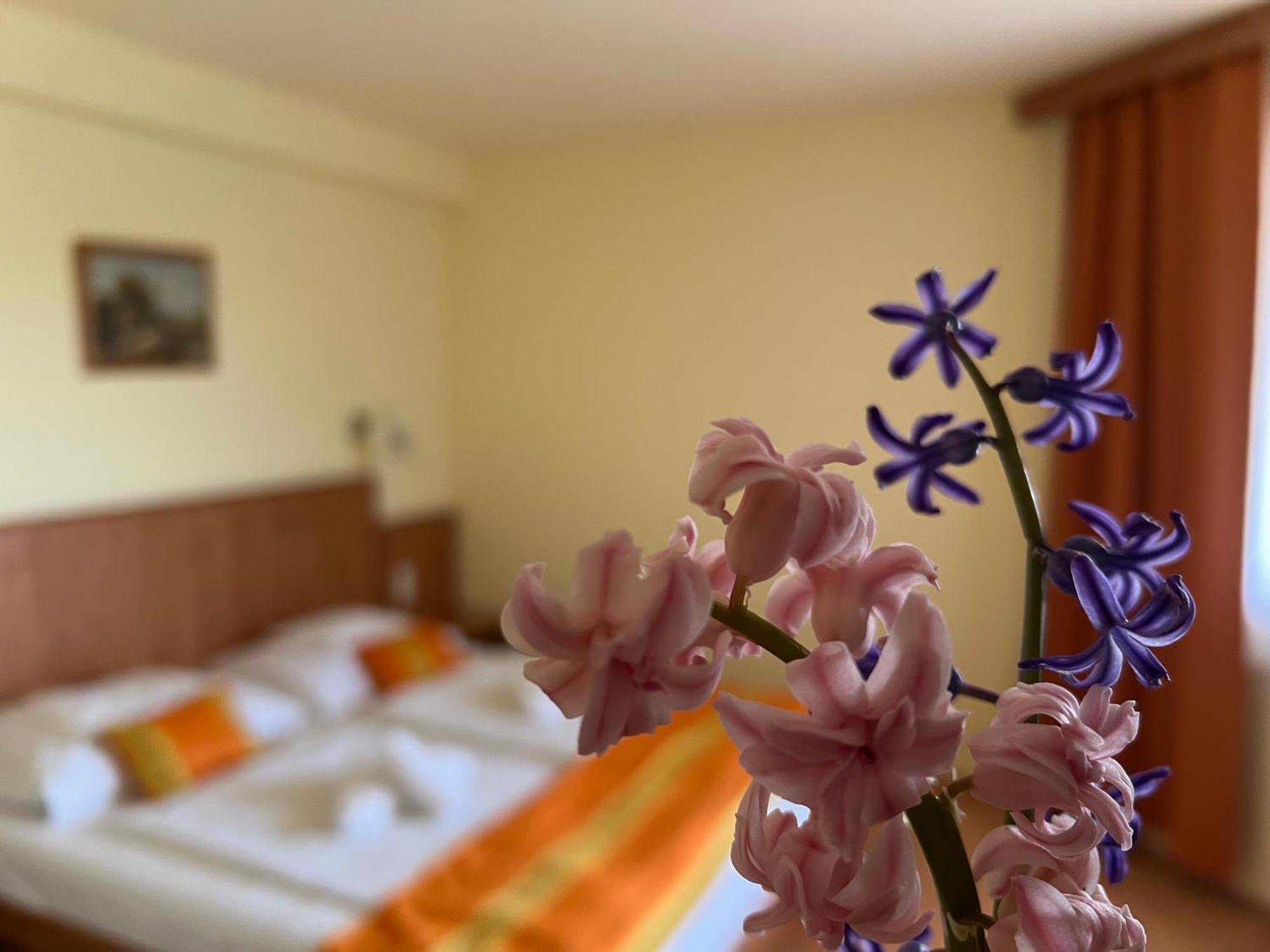 Aqua Therm Hotel