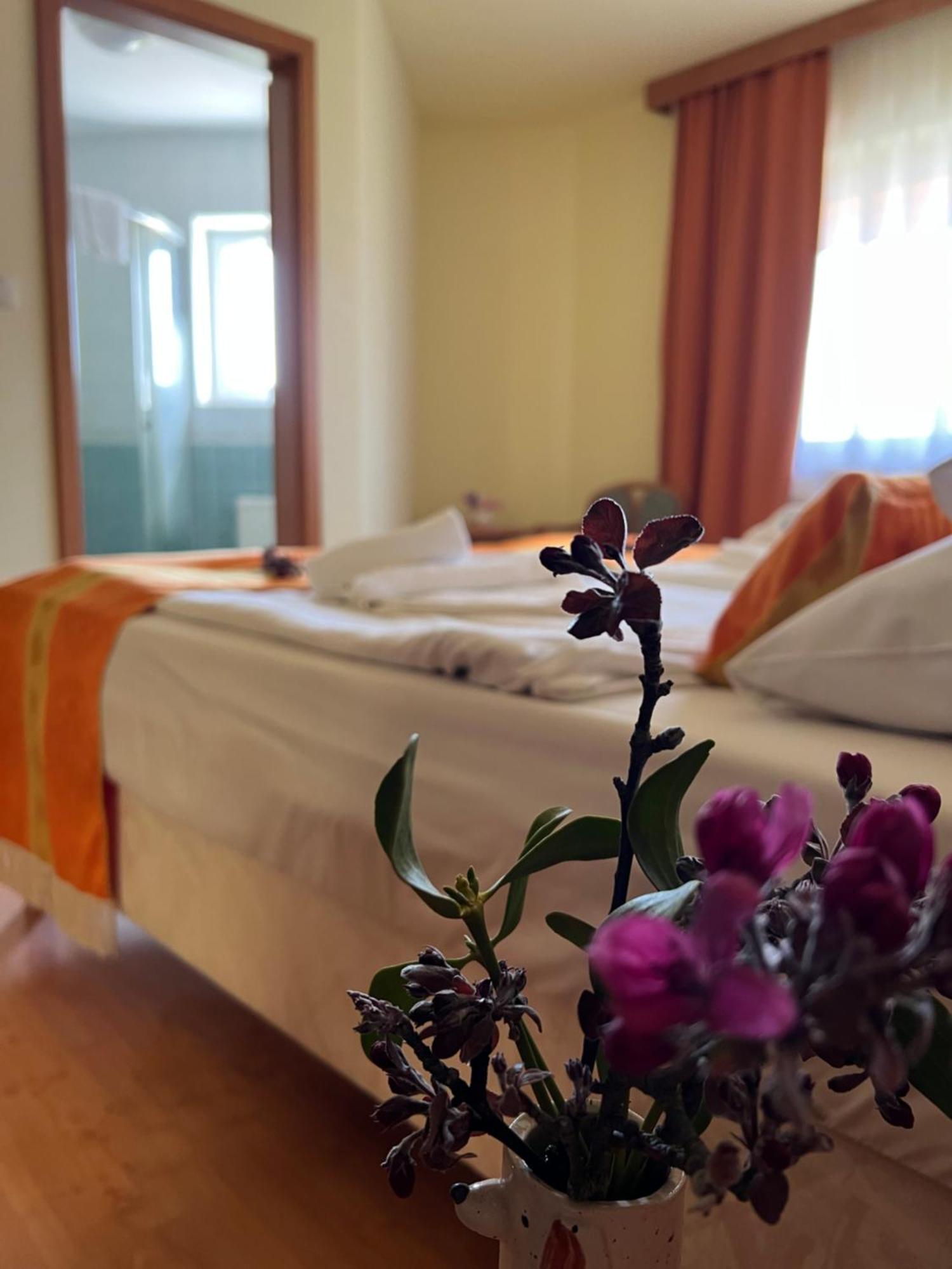 Hotel Aqua Therm 3*